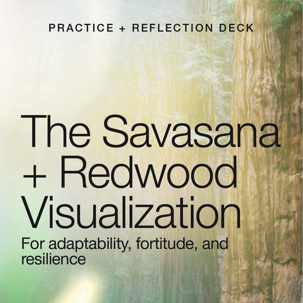 The Savasana + Redwood Visualization (Deck + Guided Audio)